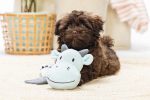 Beeztees Yavru Köpek Oyuncağı, Dragon, Peluş, Gri, 70x16x10cm - Görsel 2
