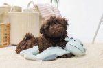Beeztees Yavru Köpek Oyuncağı, Dragon, Peluş, Gri, 70x16x10cm - Görsel 3