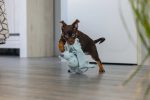 Beeztees Yavru Köpek Oyuncağı, Dragon, Peluş, Yeşil, 31,5x25x17cm - Görsel 2