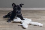Beeztees Yavru Köpek Oyuncağı, Peluş, Beyaz, 40x22x5cm - Görsel 5