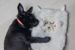 Beeztees Yavru Köpek Oyuncağı, Peluş, Beyaz, 40x22x5cm - Görsel 5