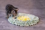 Beeztees Yavru Kedi Oyuncağı, Ödül Saklama, 38x38x3cm - Görsel 2