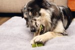 Beeztees Köpek Oyuncağı, İpli İki Tenis Topu, Kauçuk, Gri/Kahverengi, 21cm, Top 6,3cm - Görsel 3