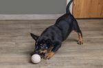Beeztees Yavru Köpek Oyuncağı, Top, Kauçuk, Pembe, 6cm - Görsel 3