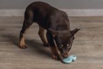 Beeztees Yavru Köpek Oyuncağı, Diş Kaşıma, Kauçuk, Yeşil, 9,5x5,5x2cm - Görsel 4