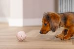 Beeztees Yavru Köpek Oyuncağı, Diş Kaşıma ve Masaj Topu, Kauçuk, Pembe, 5cm - Görsel 4