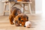 Beeztees Yavru Köpek Oyuncağı, Diş Kaşıma ve Masaj Topu, Kauçuk, Pembe, 5cm - Görsel 5