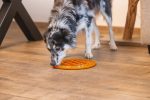 Beeztees Yavru Köpek Mama Yeme Oyuncağı, Daire Şeklinde, Silikon, Turuncu, 30cm - Görsel 10