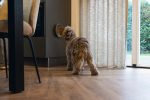 Beeztees Yavru Köpek Mama Yeme Oyuncağı, Silikon, Yeşil, 19cm - Görsel 3