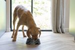 Beeztees DBL Köpek Mama Su Kabı, Mat Siyah Paslanmaz Çelik, Siyah Mermer Görünümlü, 22cm, 700ml - Görsel 4