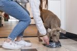 Beeztees DBL Köpek Mama Su Kabı, Mat Siyah Paslanmaz Çelik, Siyah Mermer Görünümlü, 22cm, 700ml - Görsel 2