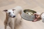 Beeztees DBL Köpek Mama Su Kabı, Mat Altın Rengi Paslanmaz Çelik, Bej Mermer Görünümlü, 17,5cm, 350m - Görsel 2