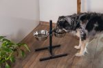 Beeztees Köpek İkili Mama Su Kabı, Ayaklı, Paslamaz Çelik, 25cm, 2x2,5L - Görsel 3