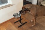 Beeztees Köpek İkili Mama Su Kabı, Ayaklı, Paslamaz Çelik, 28cm, 2x4,5L - Görsel 2