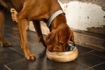 Beeztees DBL Köpek Mama Su Kabı, Dışı Masif Ahşap, Paslanmaz Çelik, 21cm, 1300ml - Görsel 7