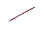 Beeztees Kedi Boyun Tasması, Swarovski Taşlı, Kırmızı, 24,5-30cm - Görsel 2