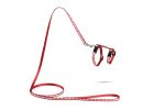 Beeztees Yavru Kedi Göğüs Tasması ve Gezdirme Kayışı 120cm, Kırmızı, 16-25cm Boyun, 23-36cm Göğüs