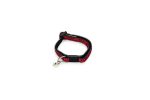 Beeztees Yavru Kedi Boyun Tasması, Zilli, Kırmızı, 16-23cm