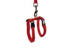 Beeztees Kedi Göğüs Tasması ve Gezdirme Kayışı, 130cm, Kırmızı