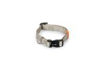 Beeztees Köpek Boyun Tasması, Açık Gri, 26-40cm