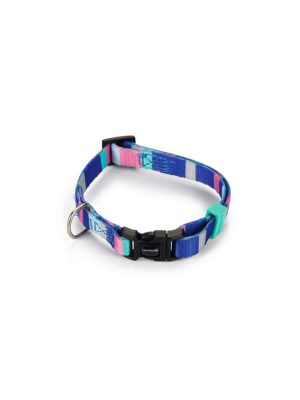 Beeztees Köpek Boyun Tasması, Renkli Kaıln Çizgiler, 20-30cm, 10mm