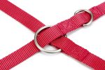Beeztees Köpek Gezdirme Kayışı, Pembe, 200cm, 20mm - Görsel 3