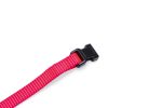 Beeztees Yavru Köpek Boyun Tasması, Çeşitli Renklerde, 22-35cm, 10mm - Görsel 3