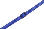 Beeztees Yavru Köpek Boyun Tasması, Çeşitli Renklerde, 22-35cm, 10mm - Görsel 4