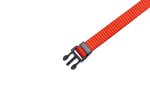 Beeztees Yavru Köpek Boyun Tasması, Çeşitli Renklerde, 22-35cm, 10mm - Görsel 5