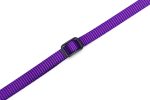 Beeztees Yavru Köpek Boyun Tasması, Çeşitli Renklerde, 22-35cm, 10mm - Görsel 8