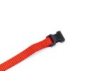 Beeztees Yavru Köpek Boyun Tasması, Çeşitli Renklerde, 22-35cm, 10mm - Görsel 9