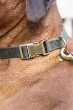 Beeztees DBL Köpek Tasması, Kadife, Nefti, 48-70cm, 25mm - Görsel 4