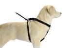 Beeztees Köpek Yürüyüş Eğitim ve Düzeltme Tasması, S - Görsel 2