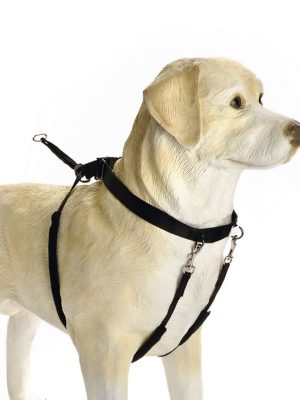 Beeztees Köpek Yürüyüş Eğitim ve Düzeltme Tasması, M