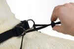 Beeztees Köpek Yürüyüş Eğitim ve Düzeltme Tasması, L - Görsel 4