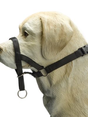 Beeztees Köpek Eğitim Tasması, Baş Kontrollu, Siyah, XS