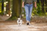 Beeztees Köpek Dışkı Toplama Poşeti Taşıma Çantası, Gri, 8x5x5cm - Görsel 7