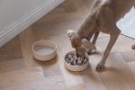 Beeztees DBL Köpek Yavaş Besleme Mama Kabı, Bambu, Bej, 21cm, 1430ml - Görsel 4