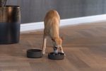Beeztees DBL Köpek Yavaş Besleme Mama Kabı, Bambu, Antrasit, 17cm, 800ml - Görsel 3