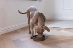 Beeztees DBL Köpek Yavaş Besleme Mama Kabı, Bambu, Antrasit, 21cm, 1430ml - Görsel 3