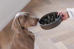 Beeztees DBL Köpek Yavaş Besleme Mama Kabı, Bambu, Antrasit, 21cm, 1430ml - Görsel 2
