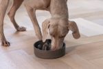 Beeztees DBL Köpek Yavaş Besleme Mama Kabı, Bambu, Antrasit, 21cm, 1430ml - Görsel 5