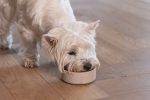 Beeztees DBL Köpek Mama Su Kabı, Bambu, Bej, 12cm, 300ml - Görsel 3