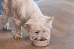 Beeztees DBL Köpek Mama Su Kabı, Bambu, Bej, 12cm, 300ml - Görsel 5