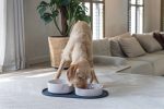 Beeztees DBL Köpek Mama Su Kabı, Bambu, Bej, 21cm, 1430ml - Görsel 2