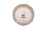 Beeztees DBL Köpek Mama Su Kabı, Bambu, Bej, 21cm, 1430ml - Görsel 4
