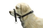 Beeztees Köpek Eğitim Tasması, Baş Kontrollu, Siyah, S