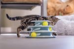 Beeztees Yavru Kedi Oyuncağı, 3 Katlı, 25x25x13cm - Görsel 7