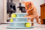 Beeztees Yavru Kedi Oyuncağı, 3 Katlı, 25x25x13cm - Görsel 8