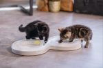 Beeztees Yavru Kedi Oyuncağı, 50x24x5,5cm - Görsel 5